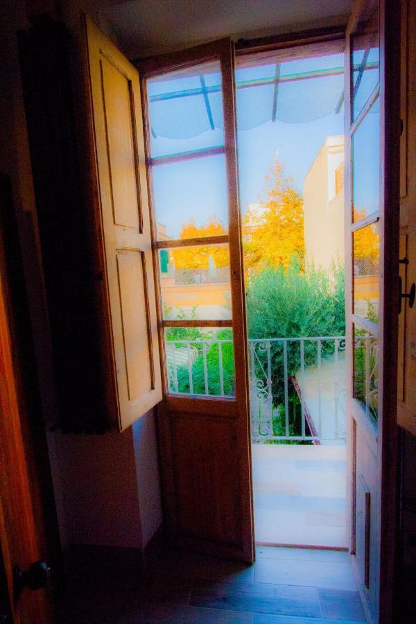 "Sea & Center" Free Beach, Wifi, Mini Pool, Roof Terrace, Ladispoli, Rome Exterior photo